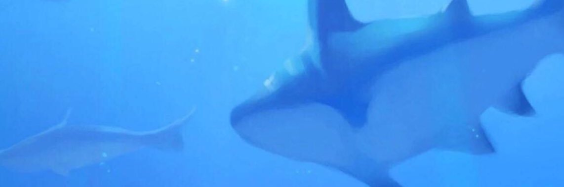 kyuhxy's profile banner image