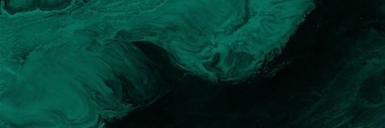 sarahnkidder's profile banner image