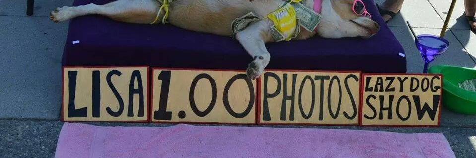 LisaPockets's profile banner image