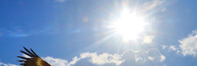 MvpDomains's profile banner image