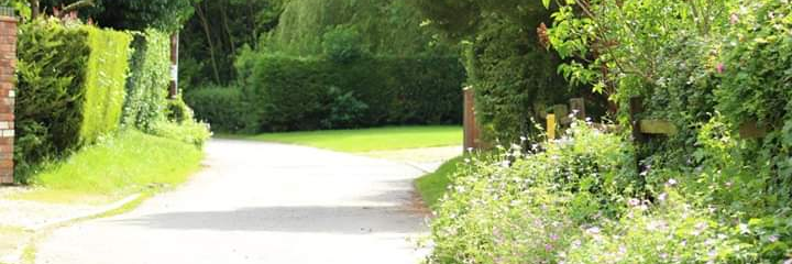 abfab6's profile banner image