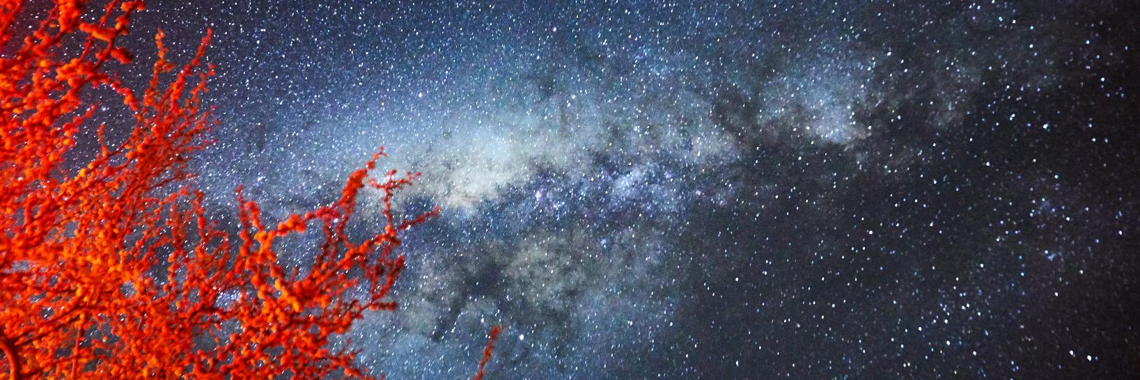 Rodrigomarinb's profile banner image