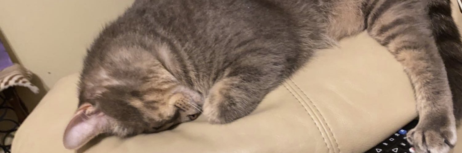 alyssahailey99's profile banner image