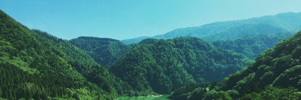 temuwigdog's profile banner image