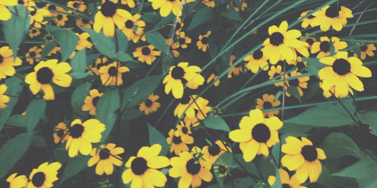 a_amato's profile banner image