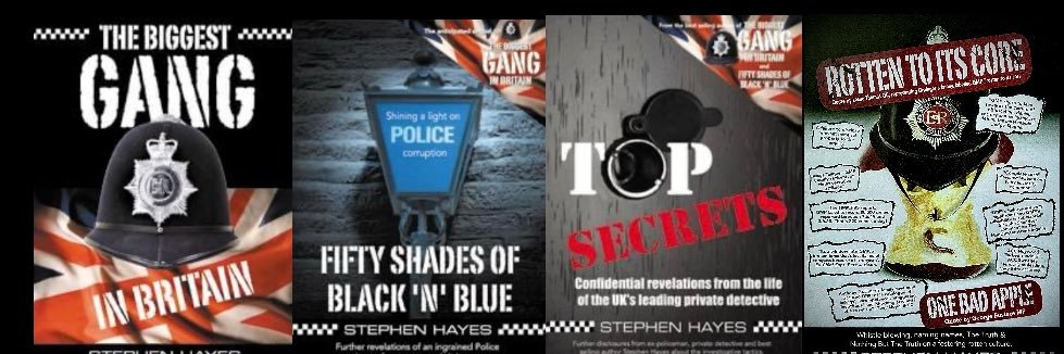 Stephen Hayes banner