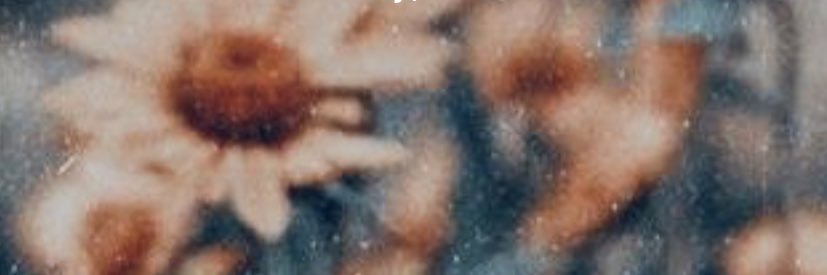 shannonalonso's profile banner image
