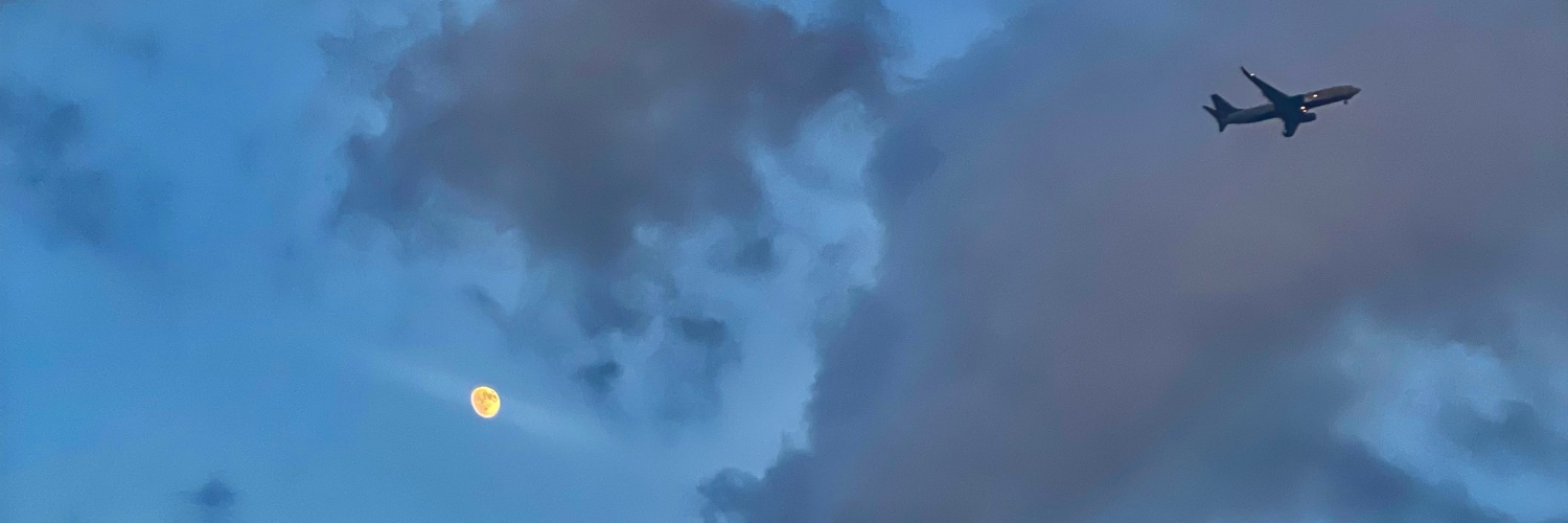 BoeFromDaNawf's profile banner image