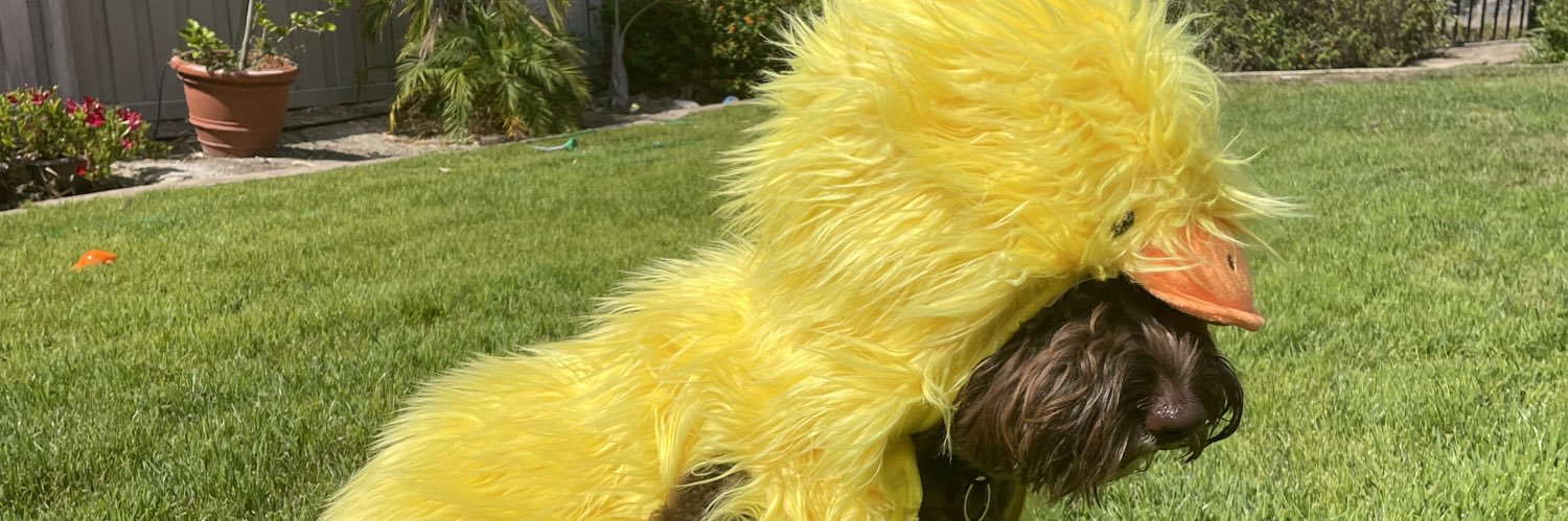 blairebender's profile banner image