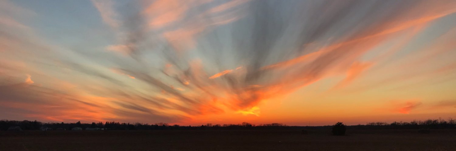 sarahfagan_'s profile banner image