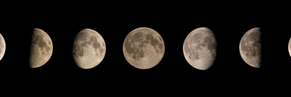 NotaUp Profile Banner