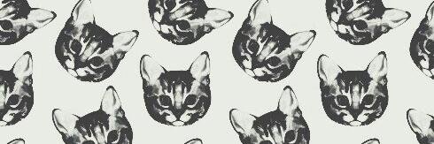 valentinavalero's profile banner image