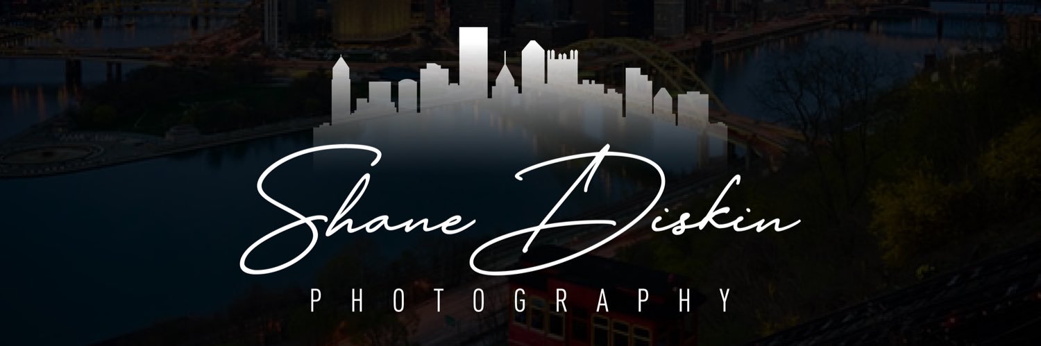 Shanediskin's profile banner image