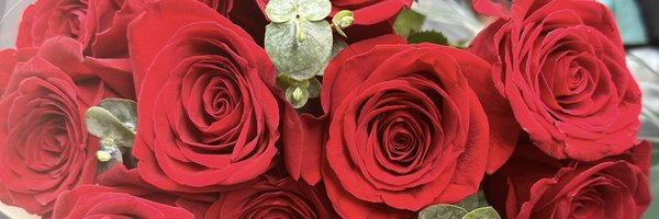 gemmax22 Profile Banner