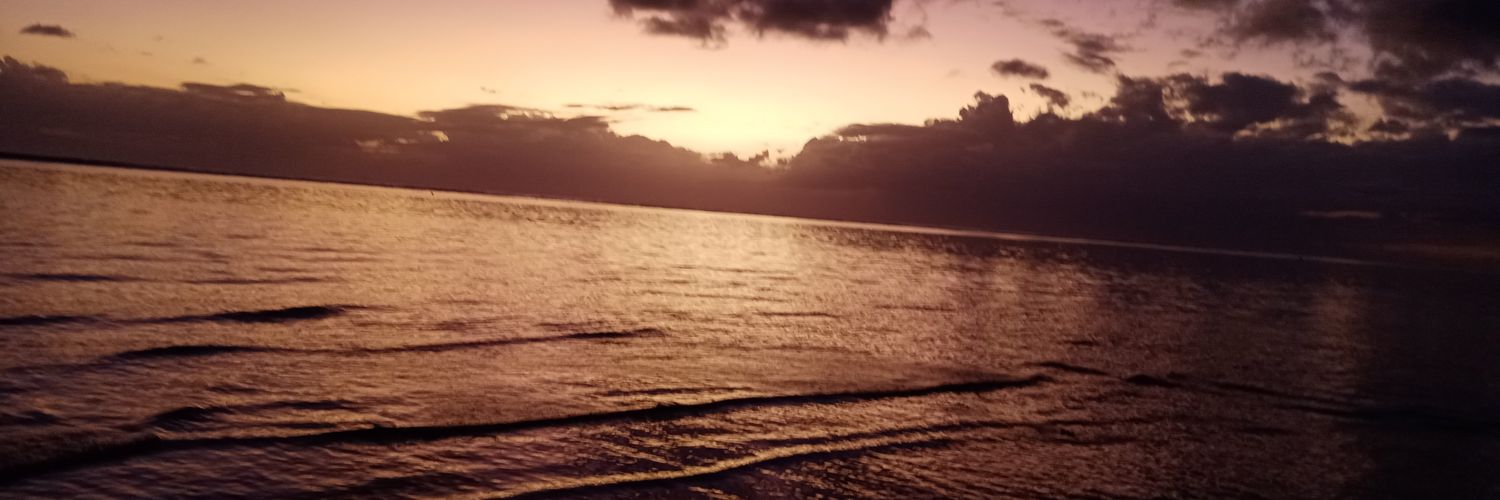 nashydee1's profile banner image
