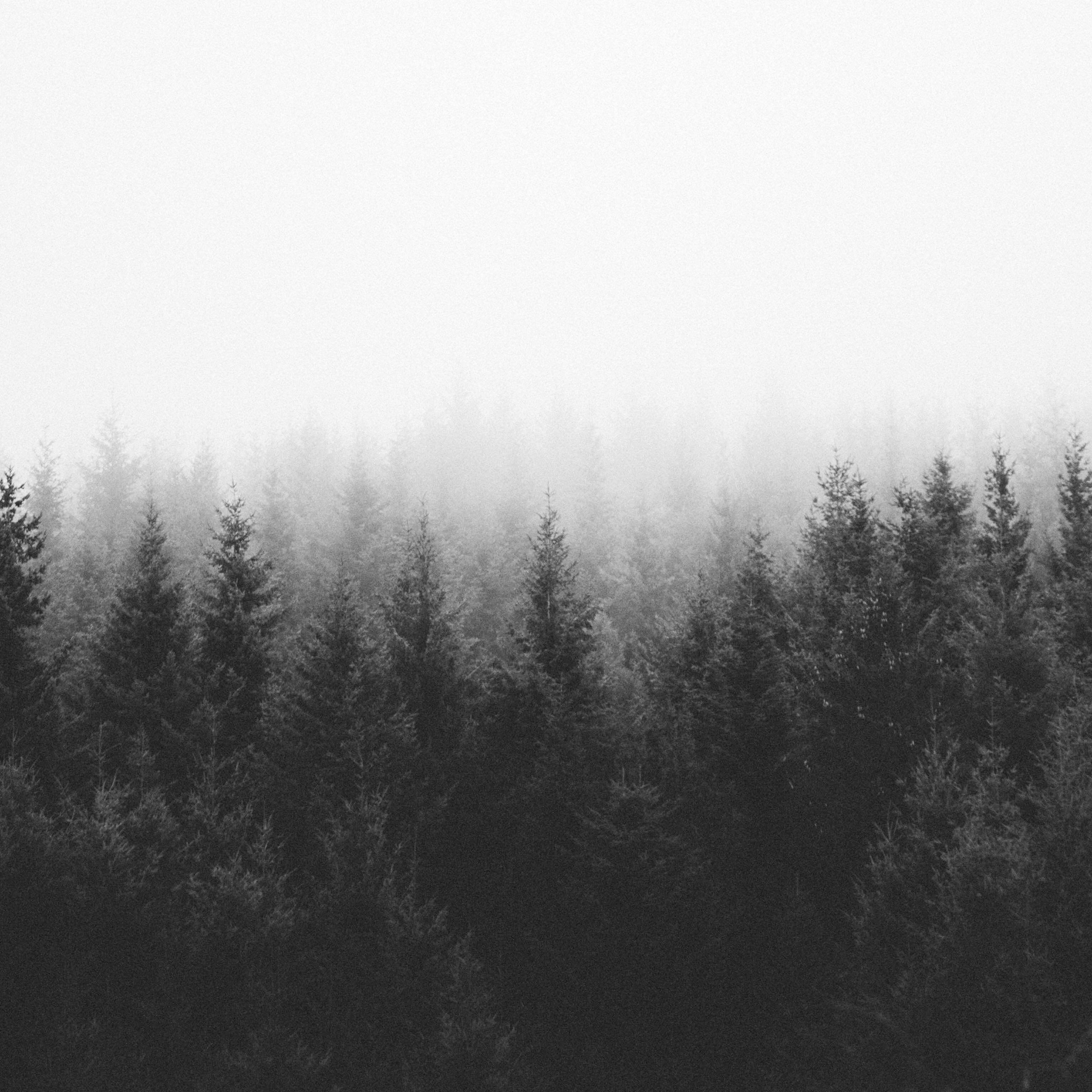 VPorral's profile banner image