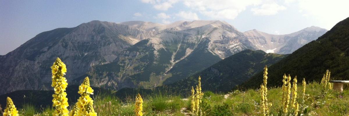 AbruzzoNatural's profile banner image