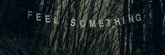 oceans banner