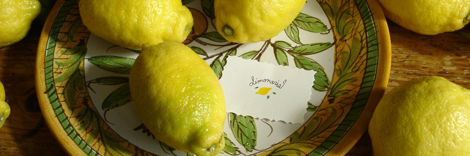 LimonariaCom's profile banner image