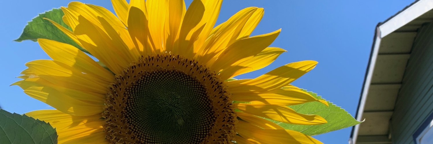 WendyCallWrites's profile banner image
