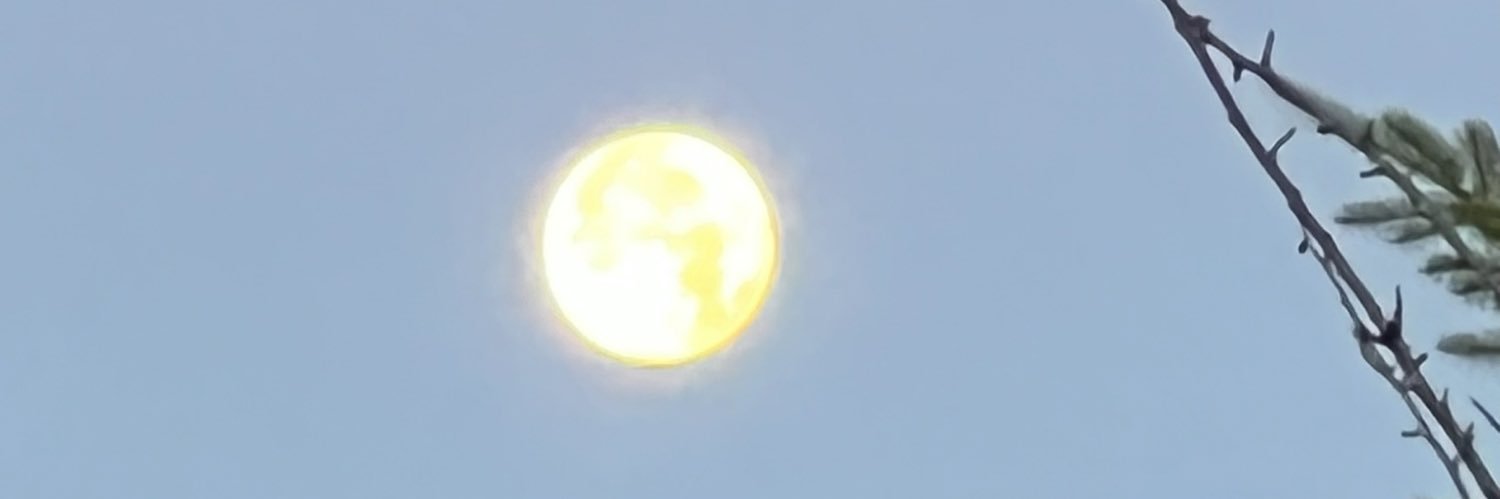 Katina56's profile banner image