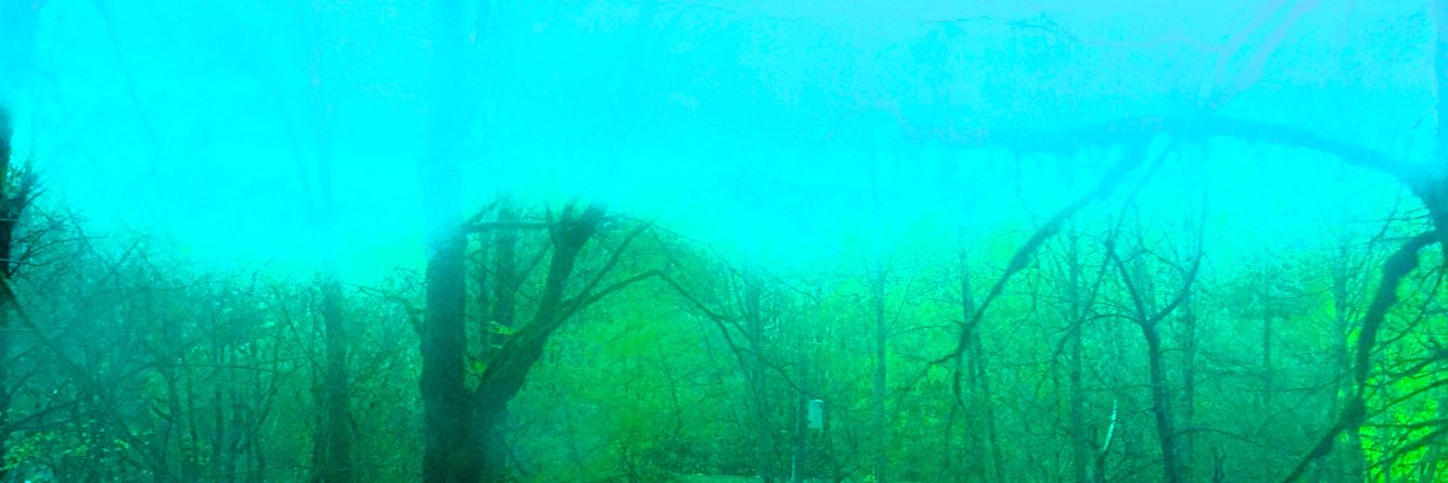 ealtes's profile banner image