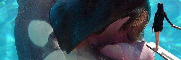 angimangi92's profile banner image