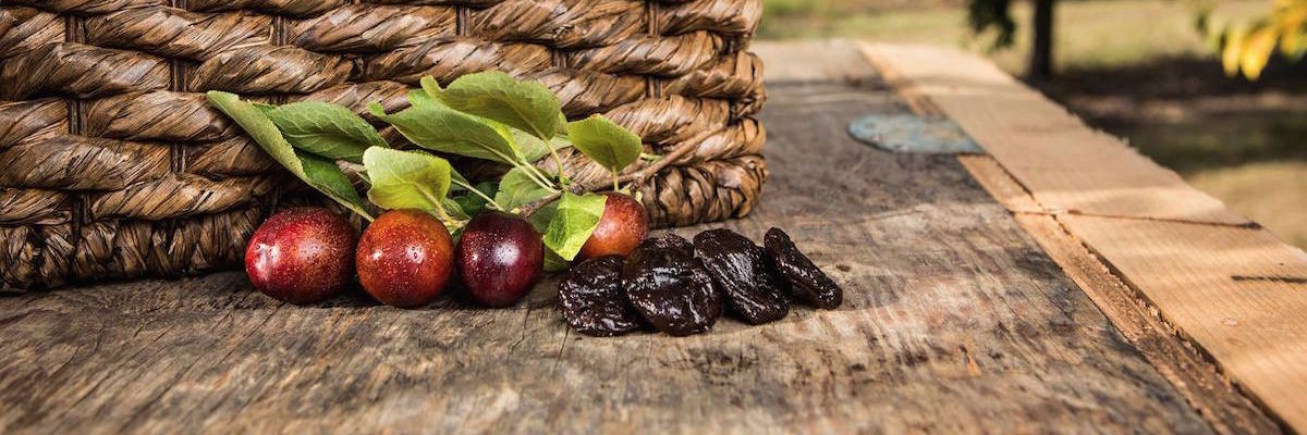 DottPlum's profile banner image