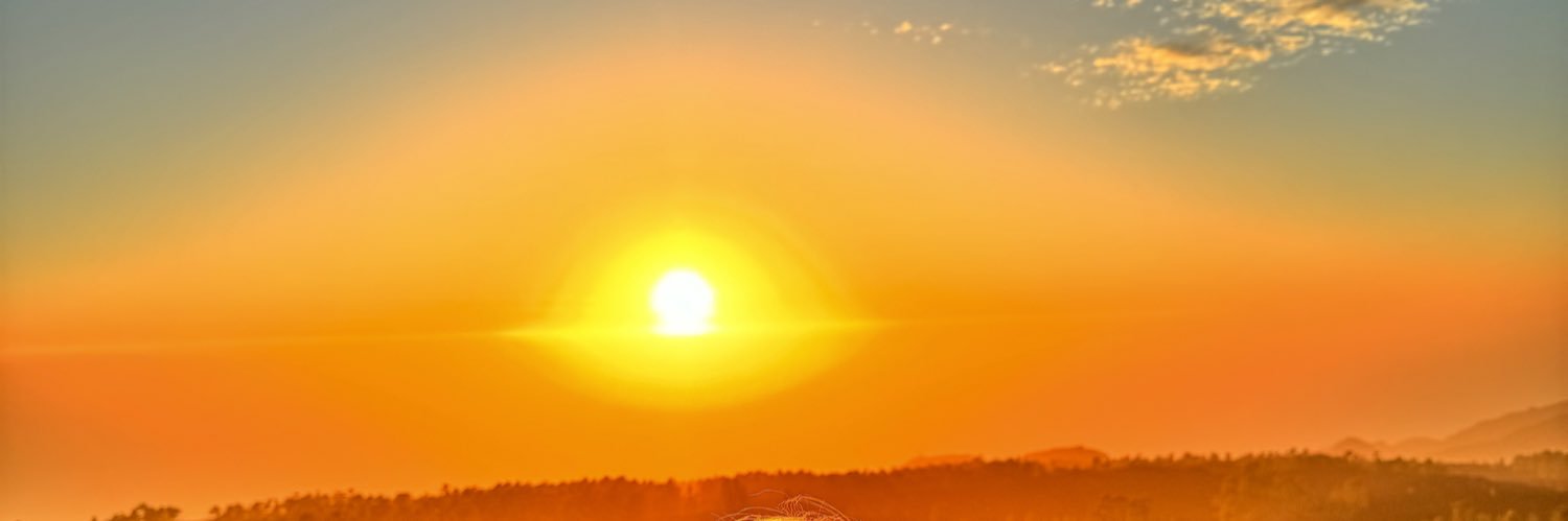 Ashl3ighDevine's profile banner image