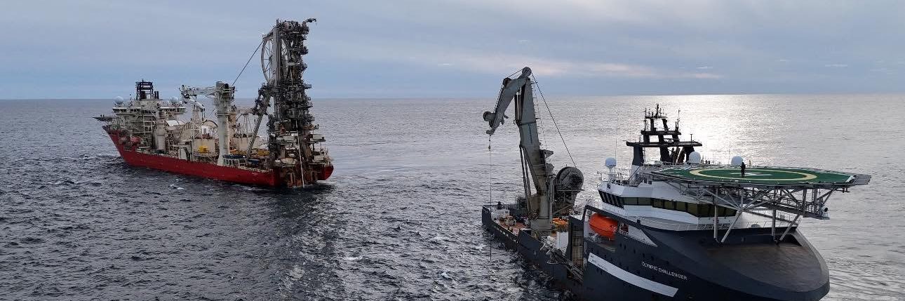 Marcussaurus Rex banner