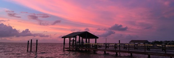 emilylegerr Profile Banner