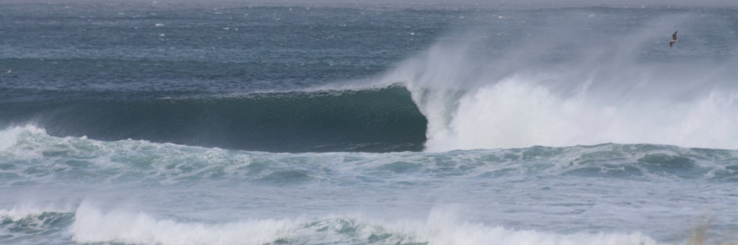 Martín Montero Trepat banner