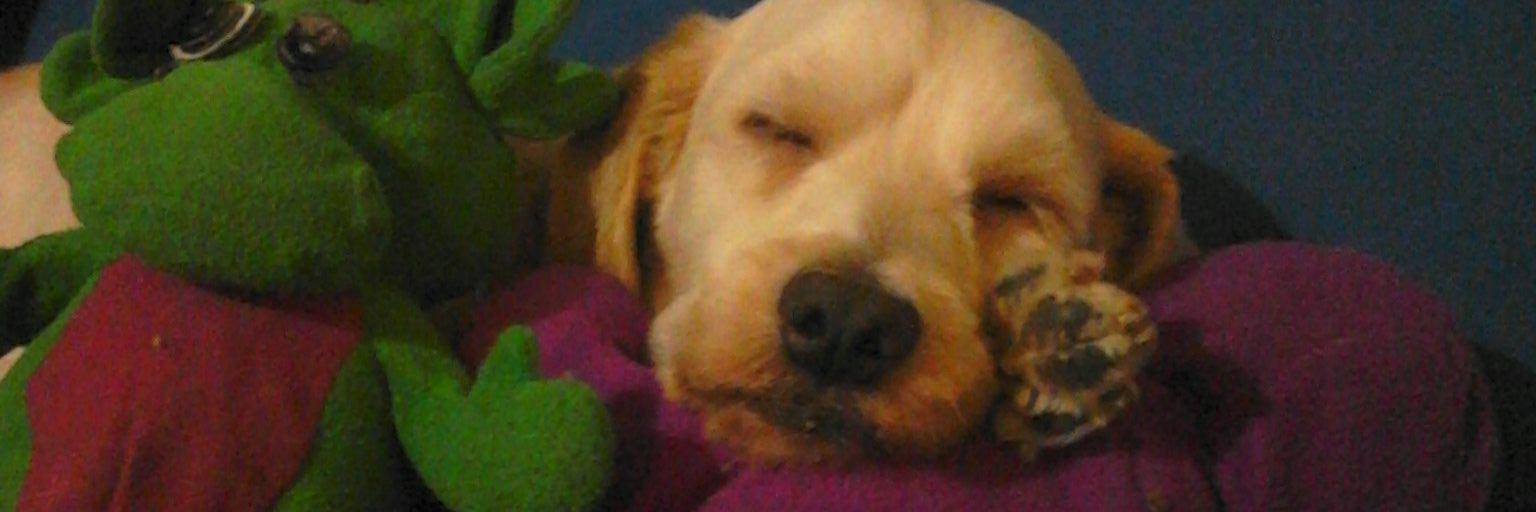 Mm54Wally's profile banner image