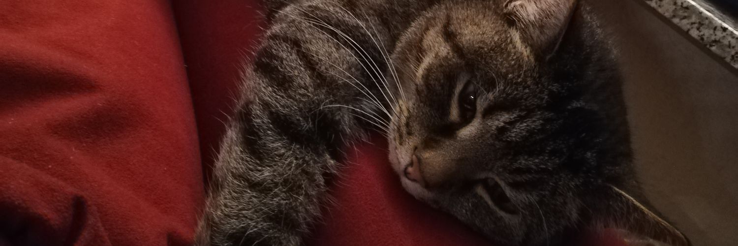 Kev1896's profile banner image