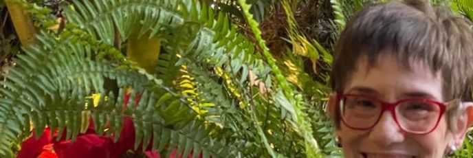 chepisnice's profile banner image
