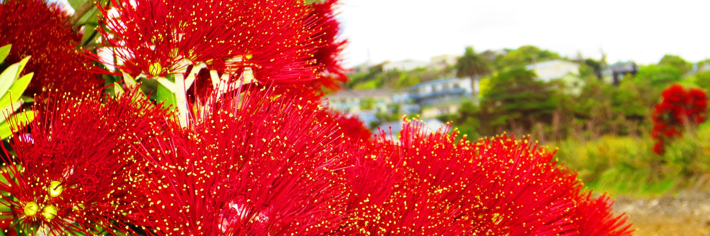 VickiLStephens's profile banner image