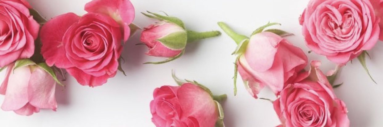 maaha_z's profile banner image