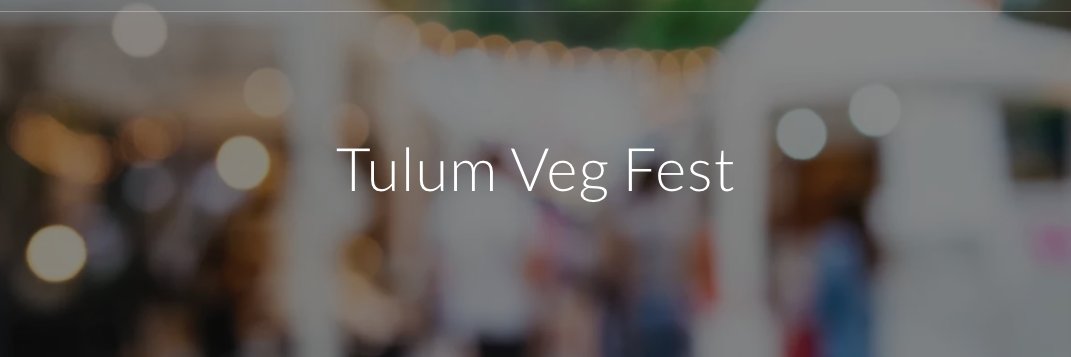 TulumVegFest's profile banner image
