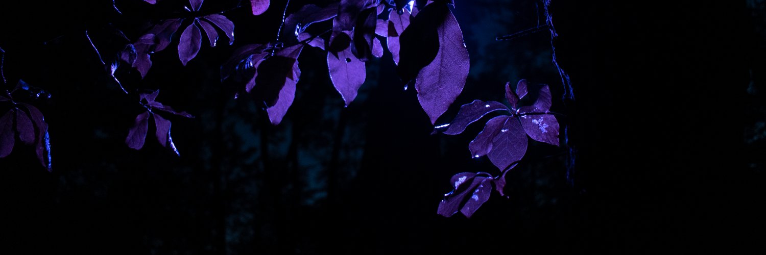 SinCaster87's profile banner image