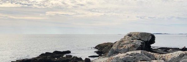 hannofoe Profile Banner