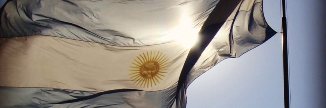 Luciana Flores banner