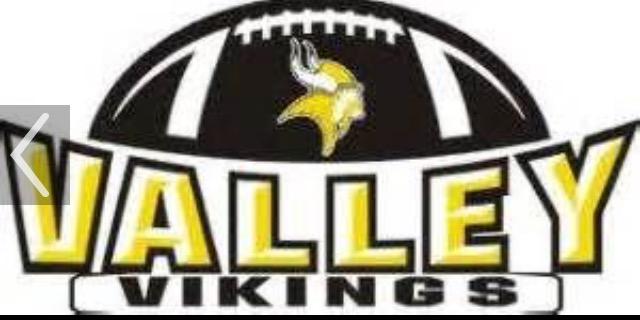 Valley Vikings  banner