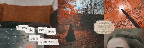 aIyssagreene's profile banner image