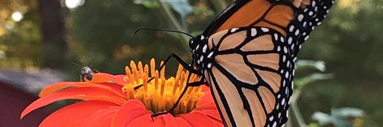 AmyMcCleery's profile banner image
