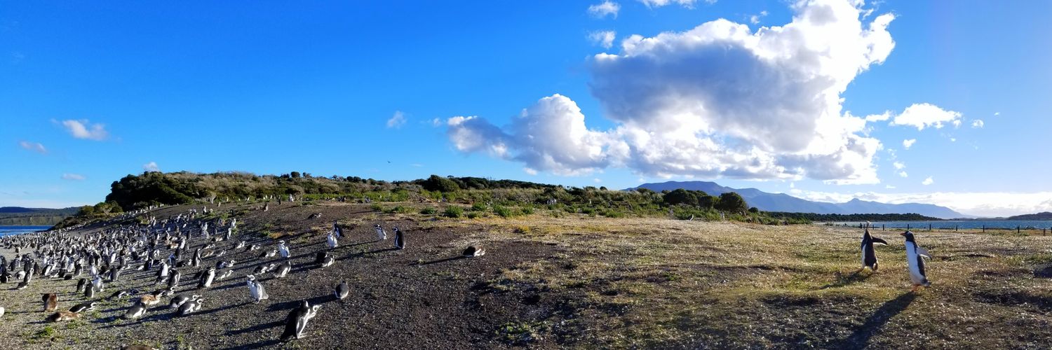 jlmilli's profile banner image