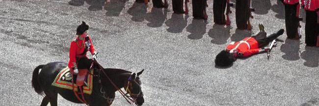 MaitreMoi's profile banner image