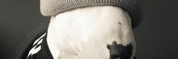 aybarssadi's profile banner image
