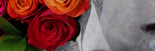 _JepArt's profile banner image
