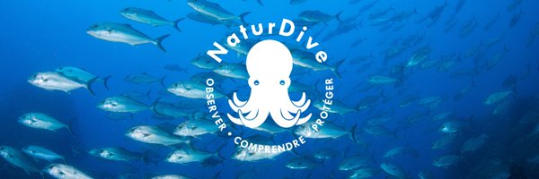 NaturDive Profile Banner