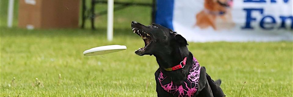 ScooteHung's profile banner image